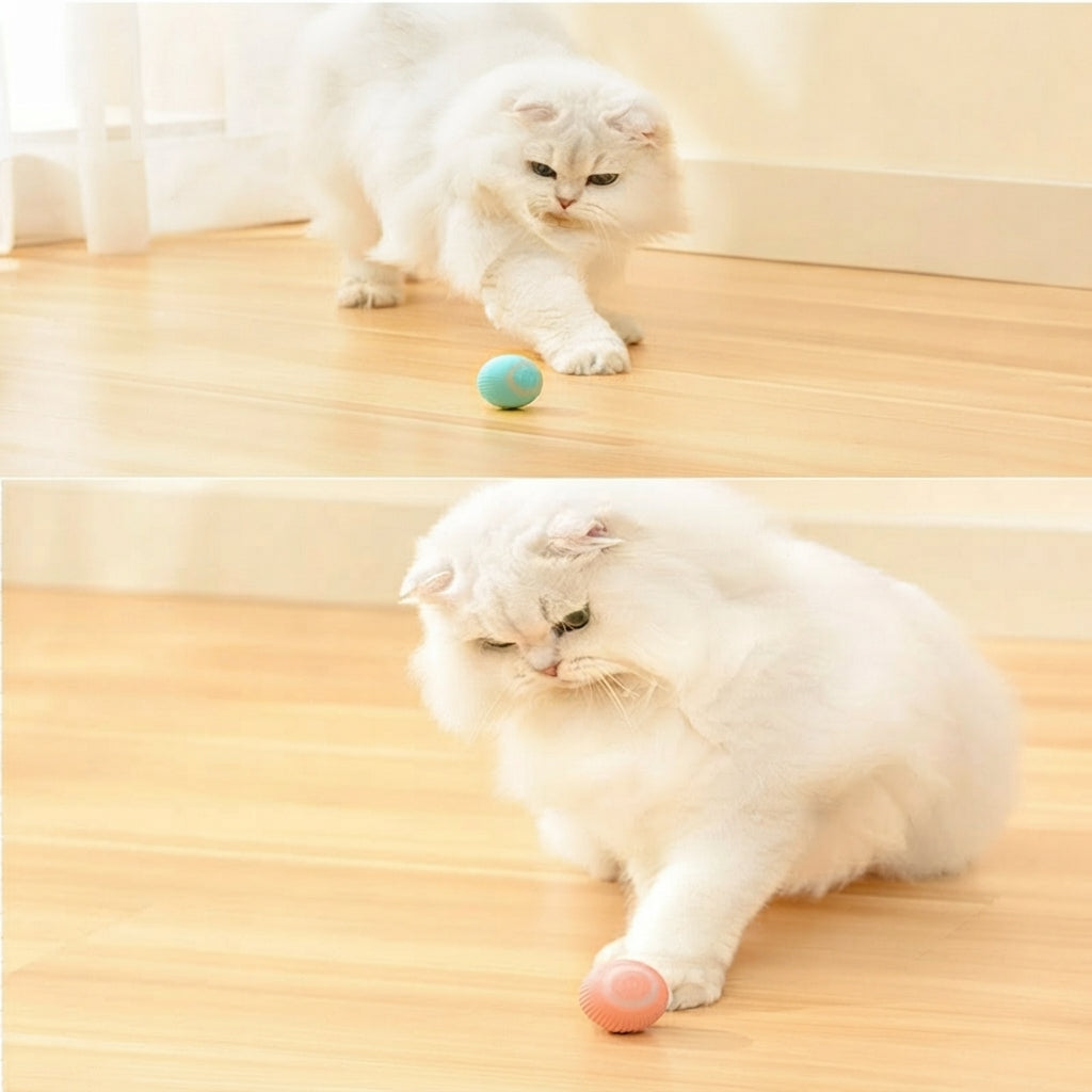 Pelota interactiva para gato