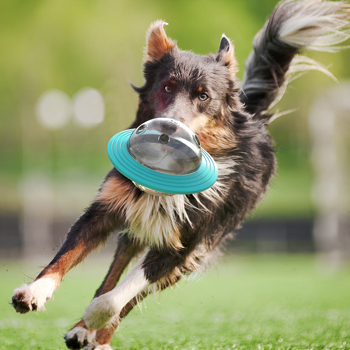 juguete interactivo de alimentacion para perros