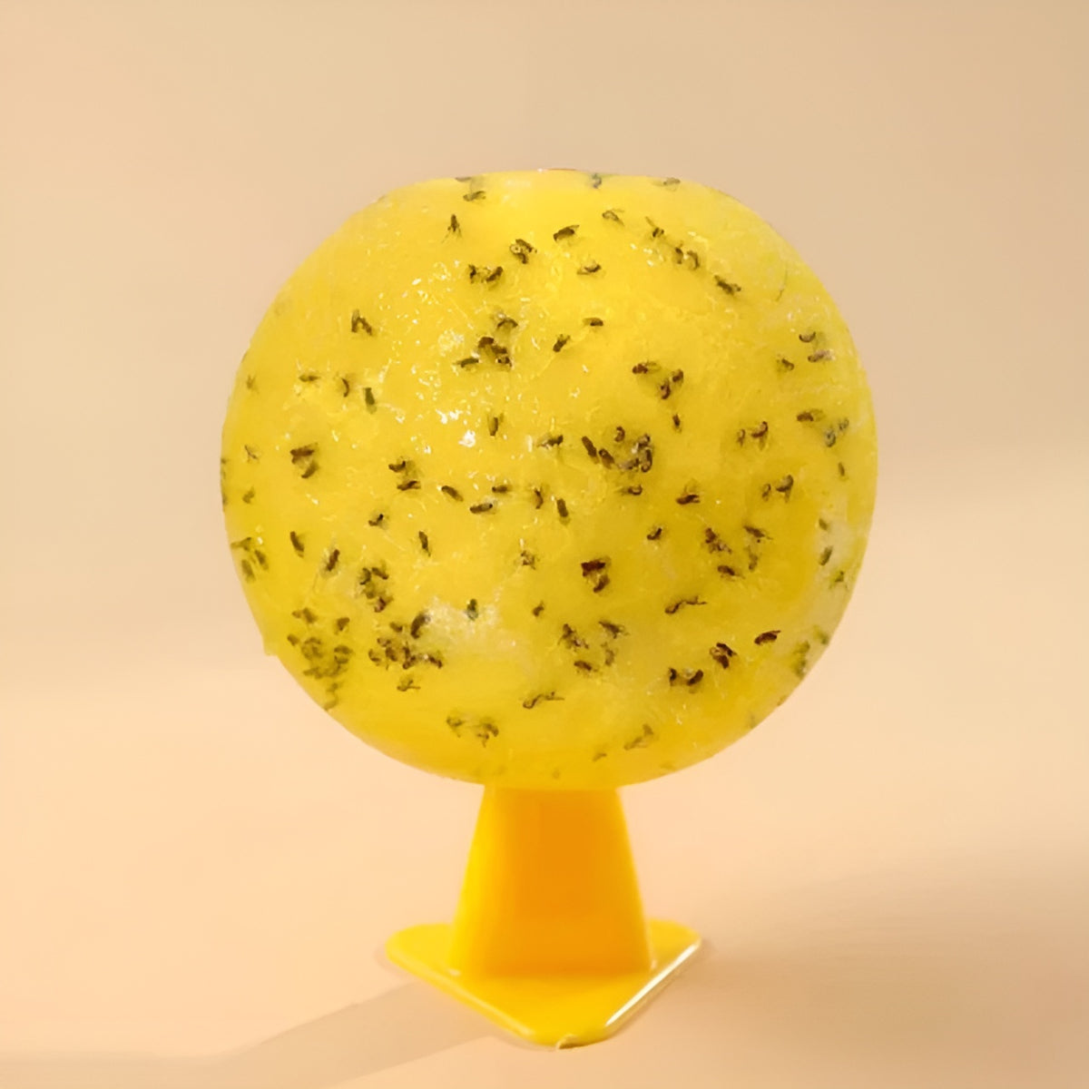 Trampa para insectos – Envío a toda Venezuela – NQLN Store
