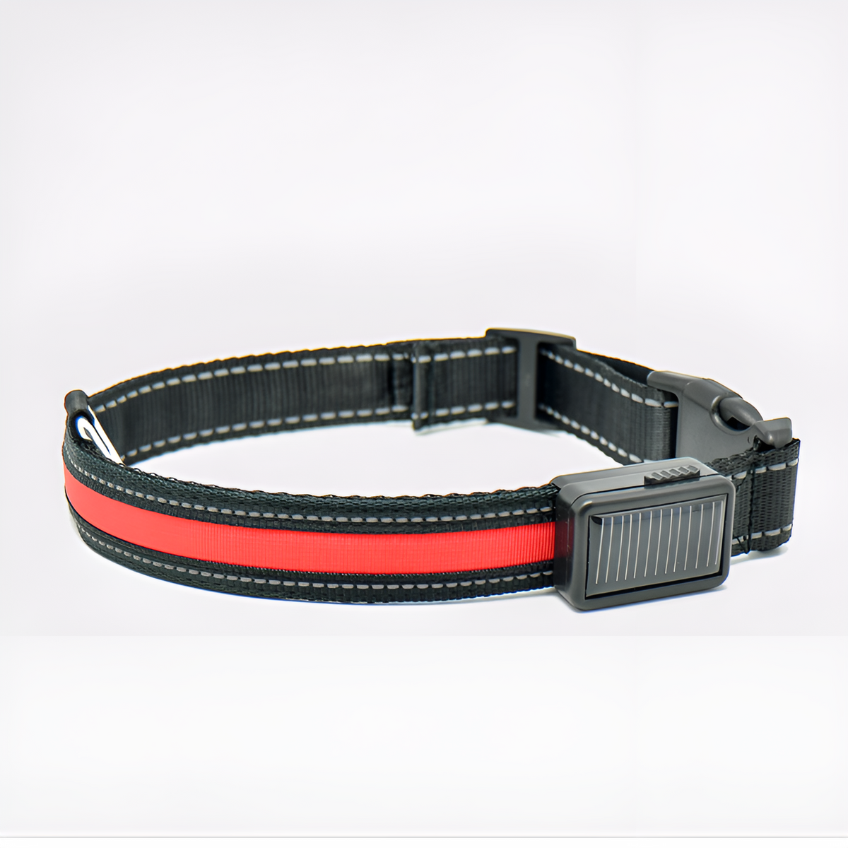 Collar LED para perros – Comprar al mejor precio en NQLN Store Venezuela