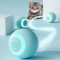 Pelota interactiva para gato para mascota – Presentación del producto – Comprar en NQLN Store