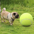 Pelota de tennis para mascotas – Tienda online NQLN Store Venezuela