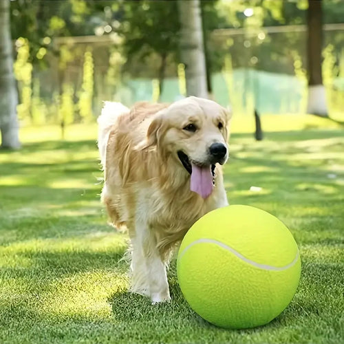 Pelota de tennis para mascotas