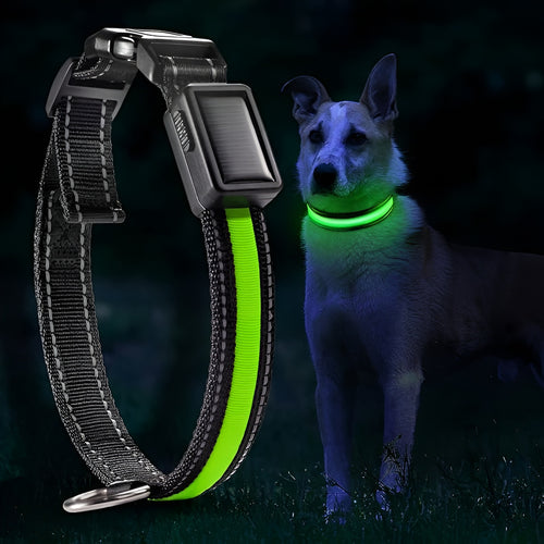 Collar LED para perros
