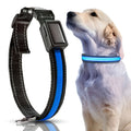 Collar LED para perros – Comprar al mejor precio en NQLN Store Venezuela