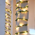 Guirnalda de luces para Navidad de 5 metros – Presentación del producto – Comprar en NQLN Store