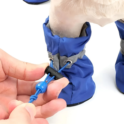 Zapatos para Perros Talla pequeña