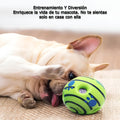 Pelota interactiva para perros – Tienda online NQLN Store Venezuela