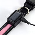Collar LED para perros – Comprar al mejor precio en NQLN Store Venezuela