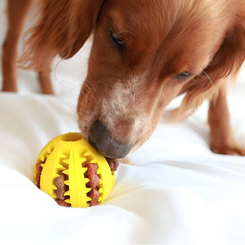 Pelota de alimentos para mascota