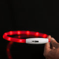 Collar Led para Mascotas Ajustable – Comprar al mejor precio en NQLN Store Venezuela