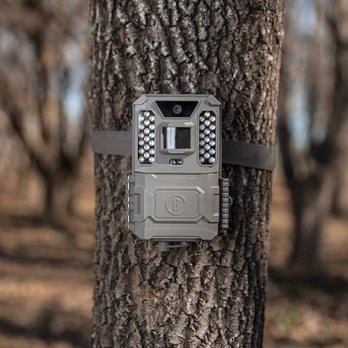 Camara Bushnell Core Prime