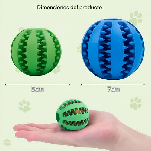 Pelota de alimentos para mascota