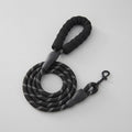 Correa para perro de nailon para paseo