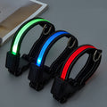 Collar LED para perros – Vista detalle del producto – NQLN Store