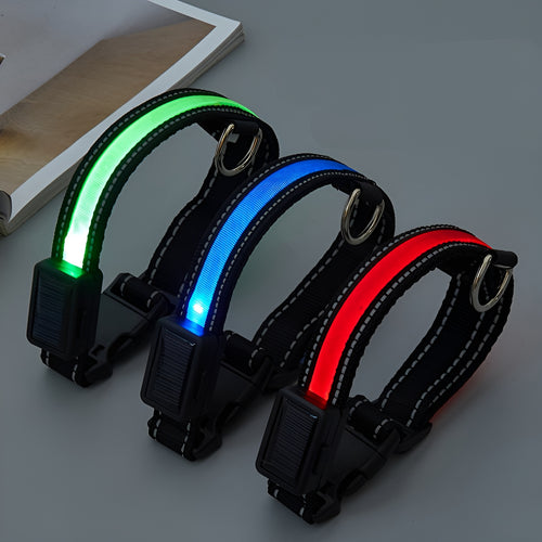 Collar LED para perros