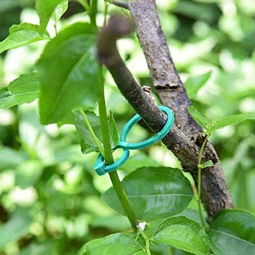 Enredaderas de plastico para plantas