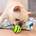 Pelota interactiva para perros – Tienda online NQLN Store Venezuela