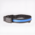 Collar LED para perros – Comprar al mejor precio en NQLN Store Venezuela