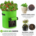 Bolsa para crecimiento de plantas