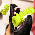 Cepillo de dientes Molar para perros – Comprar al mejor precio en NQLN Store Venezuela