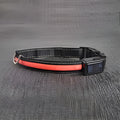 Collar LED para perros – Disponible en Caracas y Margarita – NQLN Store