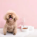 Dispensador de esquina en forma de corazón para mascota – Tienda online NQLN Store Venezuela