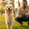 Correa para perro de nylon para paseo para mascota – Comprar al mejor precio en NQLN Store Venezuela