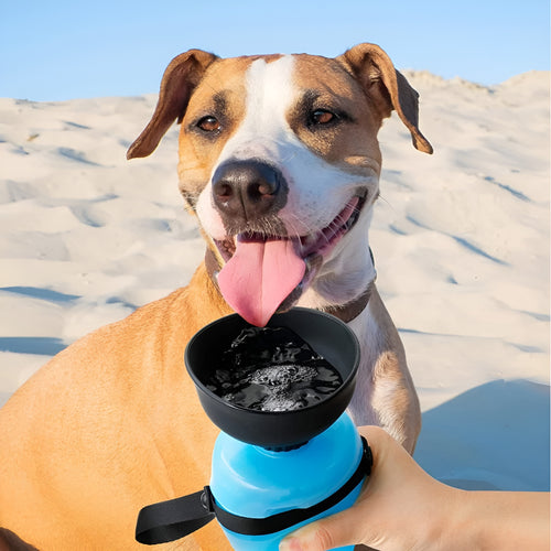 Botella de agua para mascotas